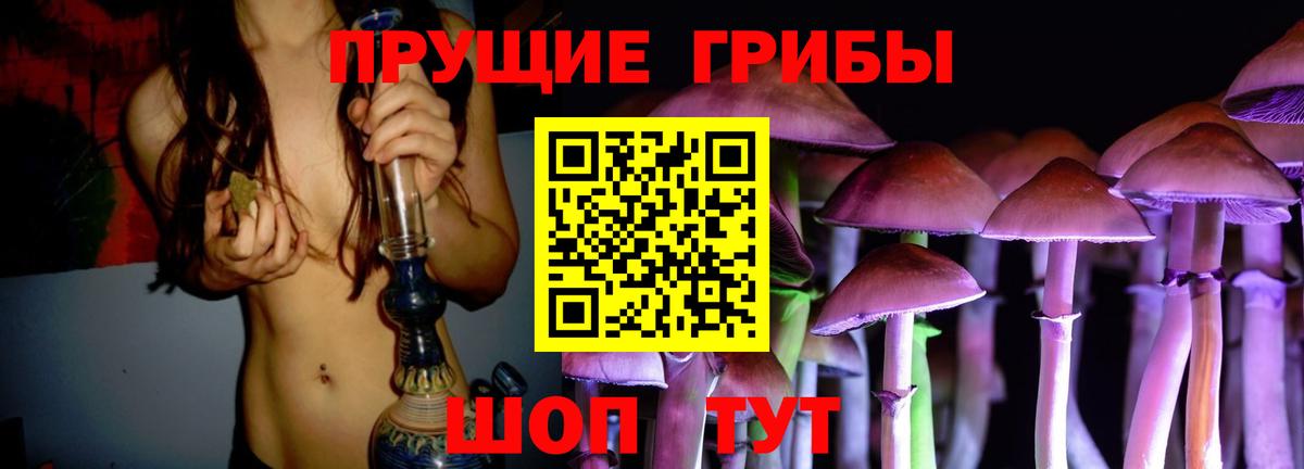 Псилоцибиновые грибы Psilocybe  Вход с VPN  Сосновый Бор 