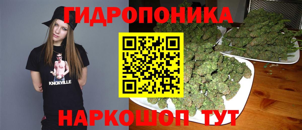 Бошки марихуана Bruce Banner  МАРИХУАНА тримм  Сосновый Бор  Канабис гибрид  Вход с VPN 
